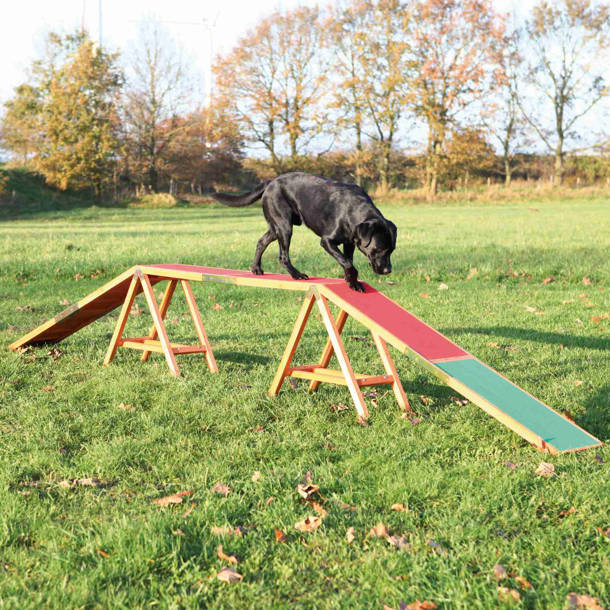 Precision Pet Soft Sided Dog Pen & Reviews | Wayfair